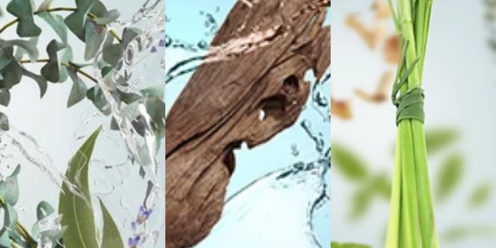 Essential oils to get you through your vaccine side effects