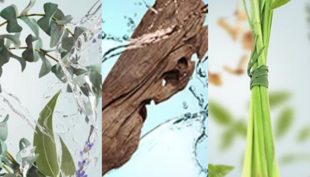 Essential oils to get you through your vaccine side effects