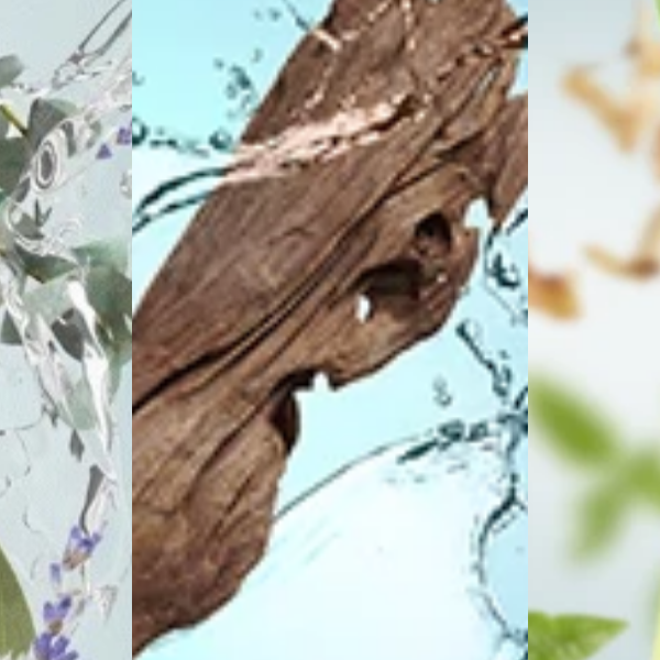 Essential oils to get you through your vaccine side effects