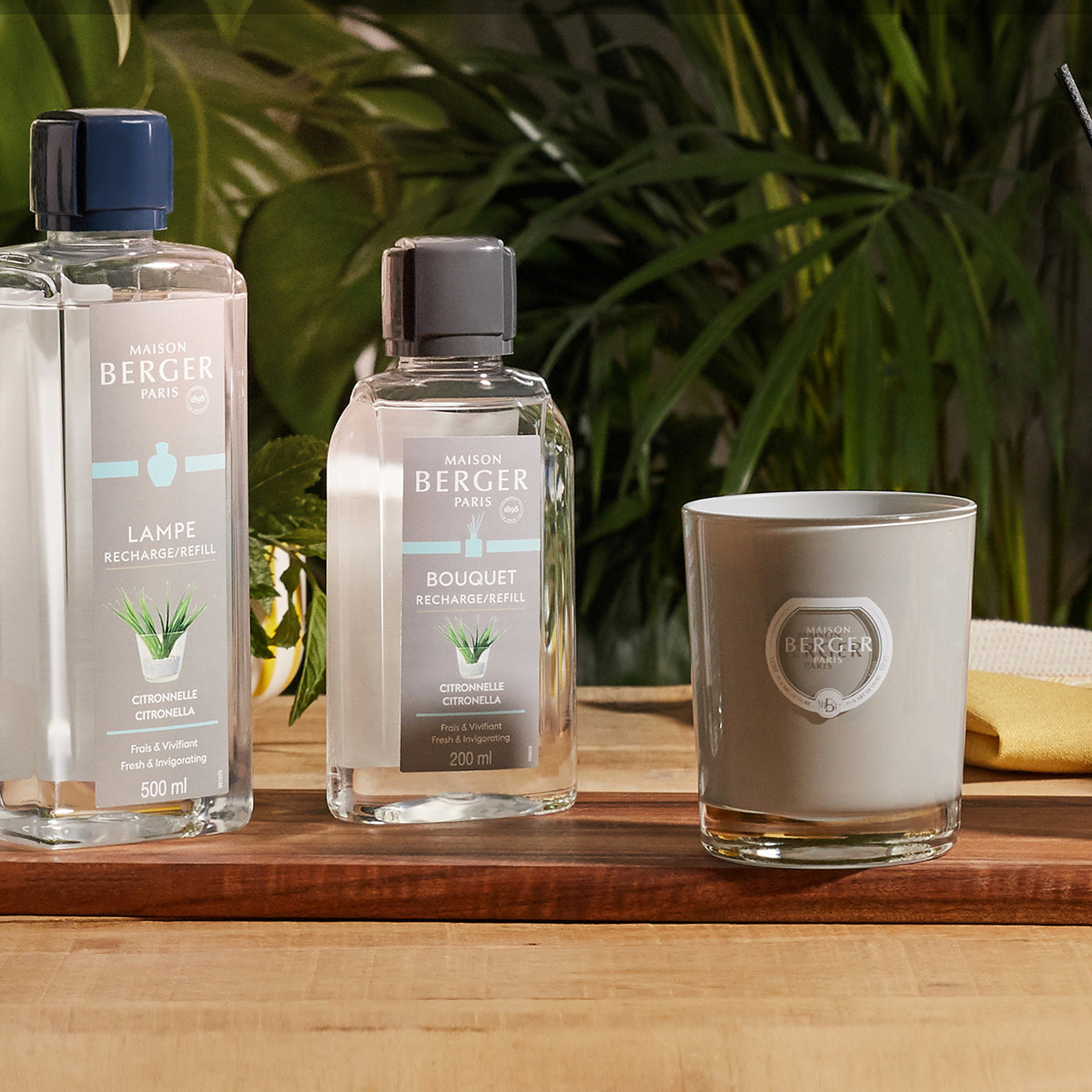 Prevent Mosquitoes in your Home!