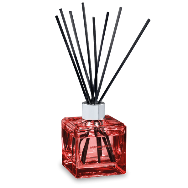 Maison Berger Cube Scented Reed Diffuser, Vanilla Fragrance — Clean Home  Shop at Capital Vacuum Floor-Care World