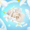 Delicate White Musk