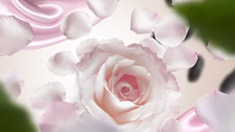 Si La Rose