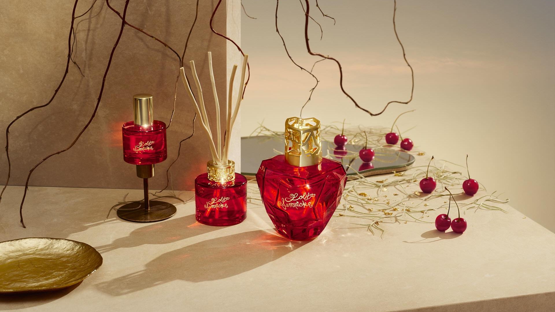 Maison Berger Singapore | Destroy Bacteria and Odors | Purify Air