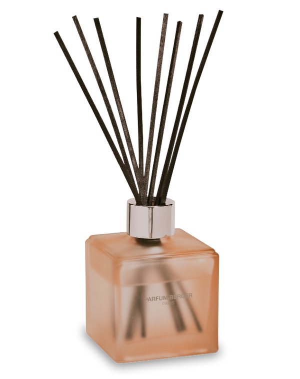 Anti-Odour Pets 2 (Floral & Zesty) Reed Diffuser