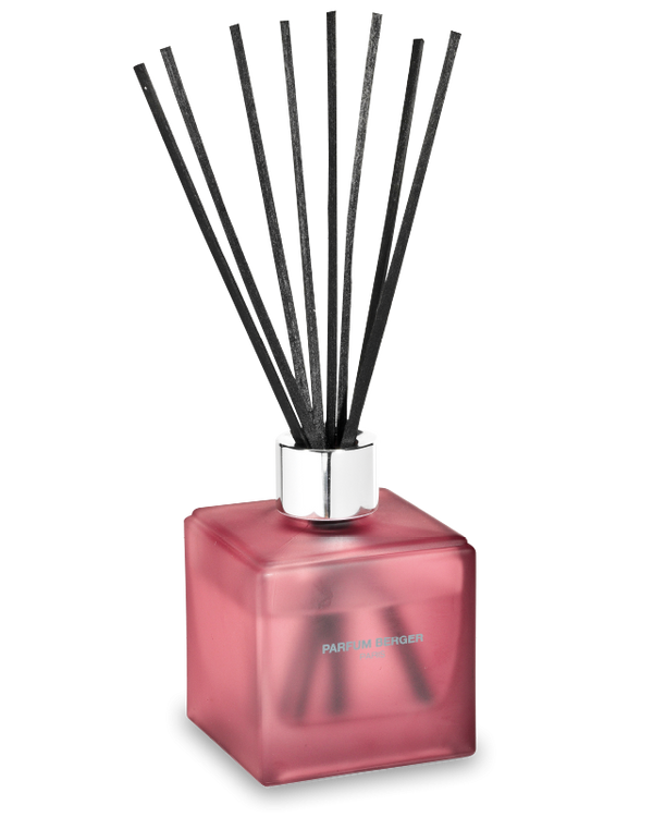 Anti-Odour Kitchen 2 (Green & Zesty) Reed Diffuser