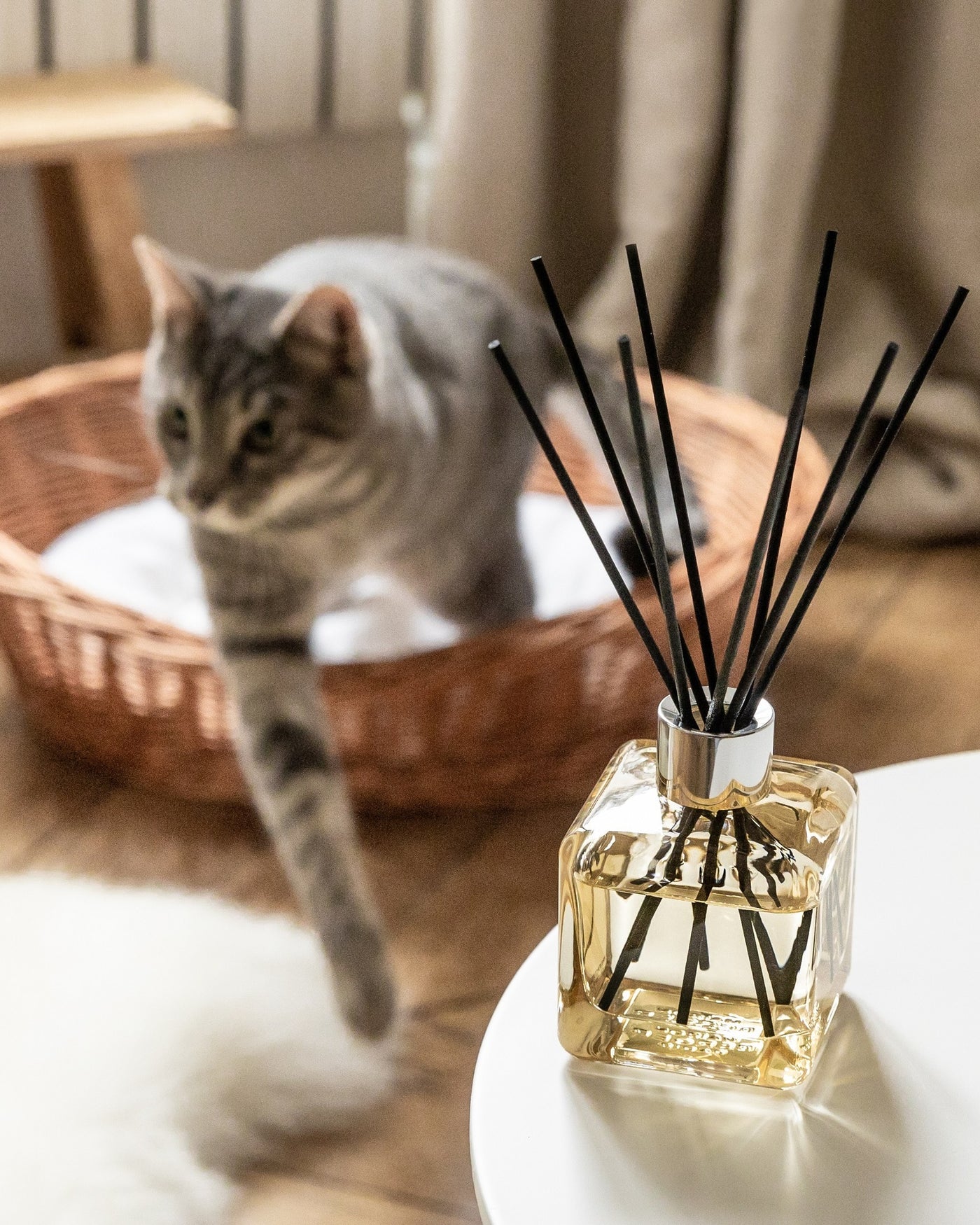 Anti-Odour Pets 1 (Fruity & Floral) Reed Diffuser